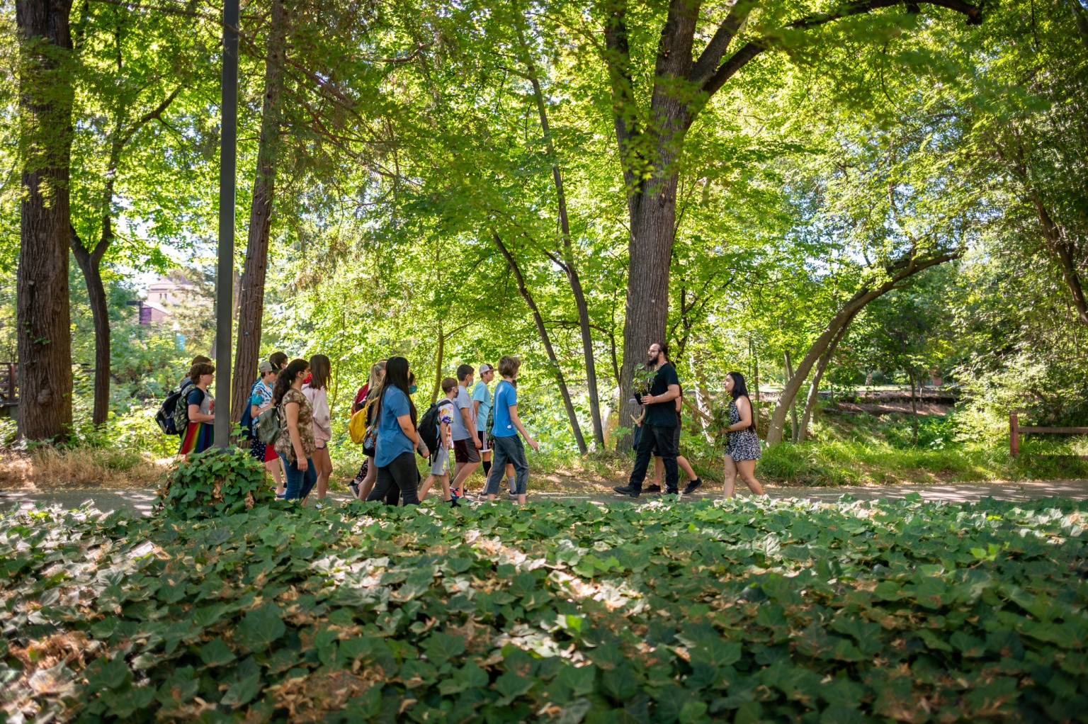 Students strolling along the banks of Big Chico Creek
