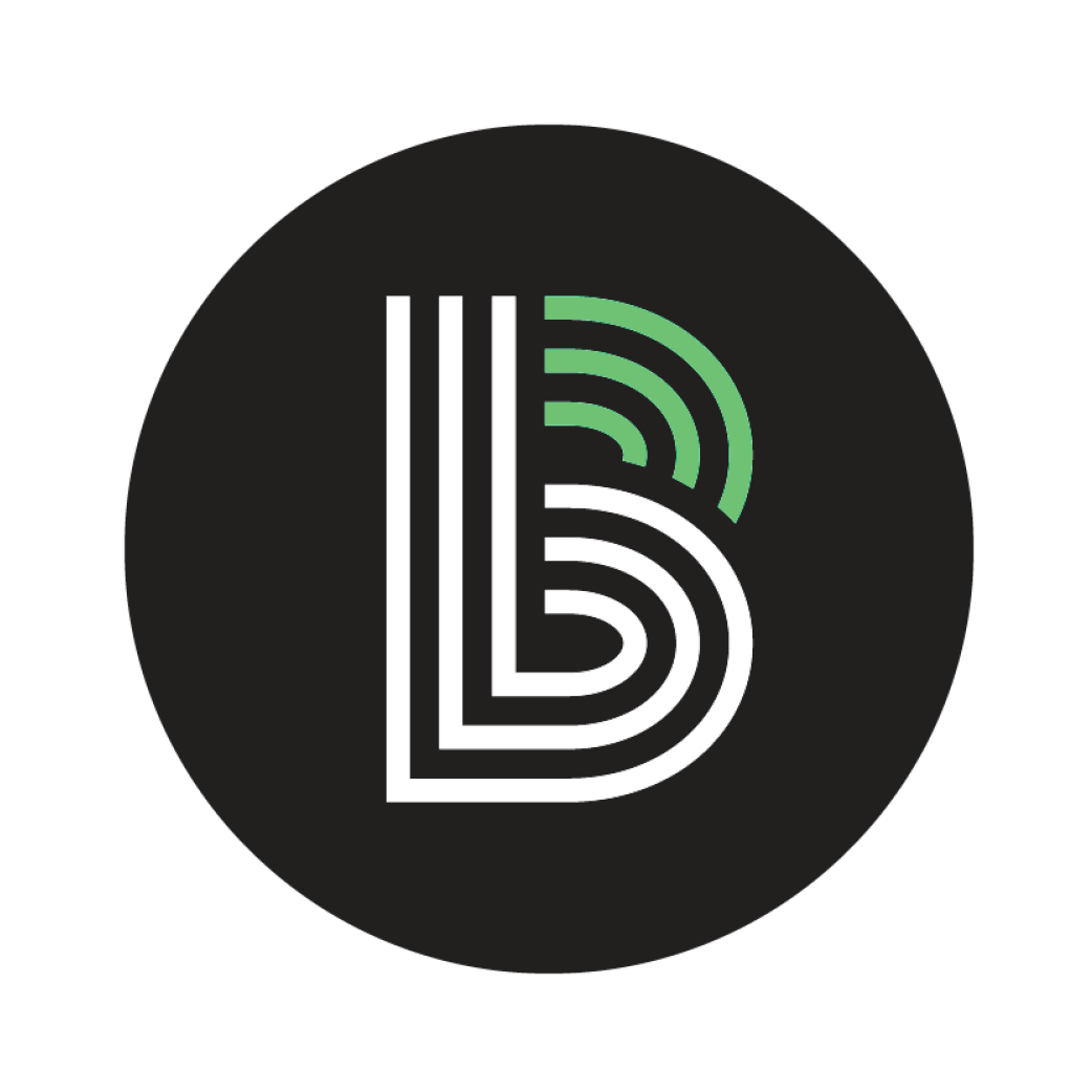 Big Brother Big Sister branding