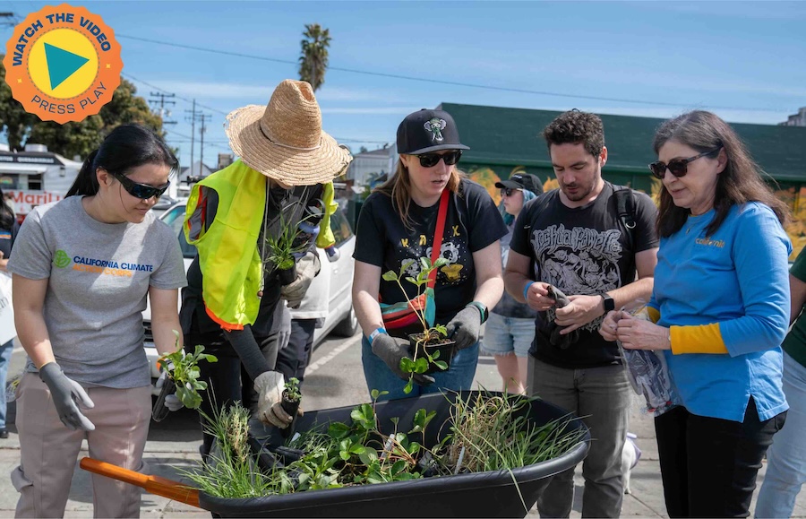 California Service Corps members, community leaders and volunteers take part in projects like urban greening and tree planting